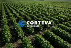 Corteva про важливість партнерства ЄС та України для стратегічної автономії агропродовольчої торгівлі