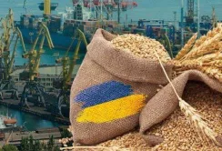 Український агроекспорт у першому кварталі: частка галузі зросла до 62%