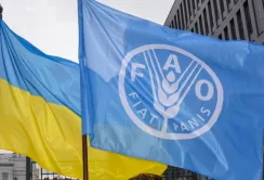 ФАО та ЮНОПС запускають програму підтримки фермерів у Херсонській області
