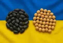 Уряд спростив механізм підтвердження права на звільнення агровиробників від експортного мита на сою та ріпак