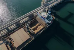 Українським морським коридором перевезли вже понад 117 мільйонів тонн зерна