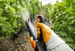 Реформа ринку ЗЗР стане найскладнішим етапом євроінтеграції українського агросектору