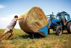 ФАО спрямувала з початку війни понад 176 мільйонів доларів на підтримку українського агросектору