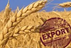 Україна на IGC Grains Conference 2026: від експорту зерна – до продукції з більшою доданою вартістю