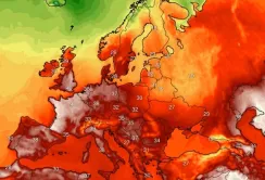 Аномальна спека в Європі знижує прогнози врожаю зерна