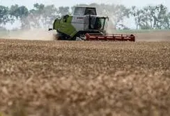 Нестача кадрів в агросекторі: у ВАР наголошують на необхідності змін у бронюванні 