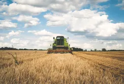 Сільгоспвиробництво в Україні зросло на 1,4% за підсумками п'яти місяців 2026 року