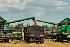До 67 ц/га на Одещині: Tekom Agro Group розпочали збирання ячменю та гороху