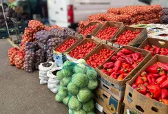 Плодоовочевий ринок: Україна очолила рейтинг активності