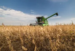 П'ять країн забезпечать майже 90% світового виробництва сої