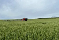 Захист озимої пшениці в період цвітіння: на Одещині провели фунгіцидні обробки