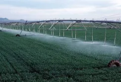 Аграрії вже створили 78 організацій водокористувачів для відновлення зрошення