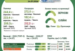 Тренди на ринку зернових та олійних з 7 по 13 липня