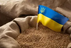 У першому півріччі 2026 року частка агропродукції в загальному експорті країни зросла до 60%