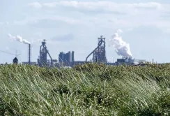 Агросектор може врятувати європейську екологію