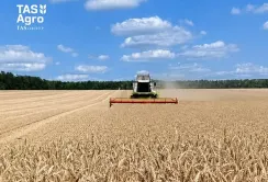 Компанія ТАС Агро розпочала жнива ранніх зернових