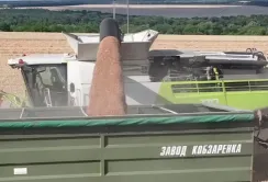 МХП продовжує збирати озиму пшеницю і ріпак