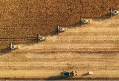 Аналітики знижують прогноз врожайності сільгоспкультур в ЄС