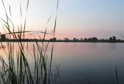 Понад 22,8 мільйона гривень спрямують на зариблення українських водойм