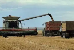 Tekom Agro Group завершив збір твердої пшениці