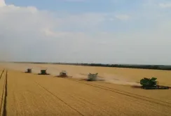 Травневі дощі врятували врожай: Нібулон виходить на планові показники