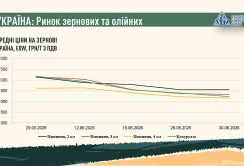 Підсумки червня на ринку зернових та олійних