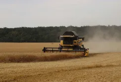 На Київщині збирають озимий ячмінь