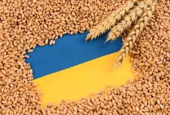 Альтернативні маршрути та рукави зберігання: як агросектор долає нову портову кризу