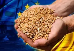 Україна планує збільшити квоти ЄС на агропродукцію