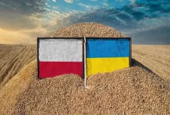 Тарас Качка наголосив на важливості ефективних прикордонних процедур без їх надмірного спрощення