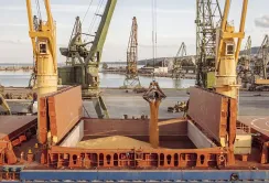 Частка агропродукції в загальному експорті України досягла 60%
