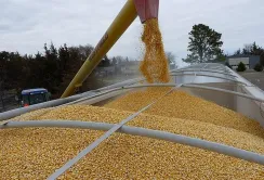 Україна запропонувала Польщі збільшити транзит зерна