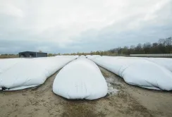 ФАО, ВПП, Mercy Corps та Український Червоний Хрест посилюють підтримку зі зберігання зерна для захисту врожаю України 2026 року