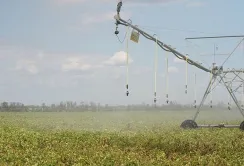 Фермери на Черкащині відновлюють меліоративні системи власним коштом