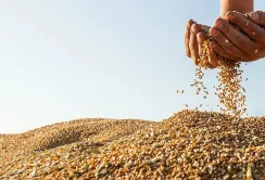 Індекс цін на продовольство у липні зріс