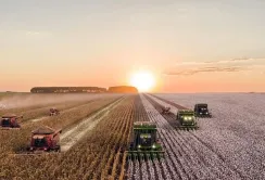 На Івано-Франківщині завершено збирання ранніх зернових та зернобобових культур