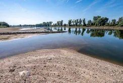 Рівні води на окремих річках України впали до історичного мінімуму
