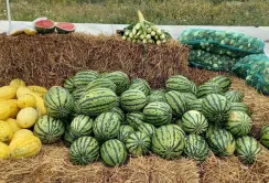 Україна очолила рейтинг найактивніших торговців плодоовочевою продукцією