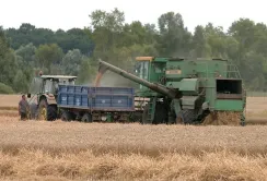 Падіння цін та блокування експорту загрожують зупинити жнива на Чернігівщині