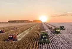 Уряд виділяє 80 мільярдів гривень на підтримку аграріїв та просить допомоги у Єврокомісії