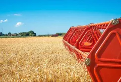 Аграрії Полтавщини намолотили перший мільйон тонн пшениці