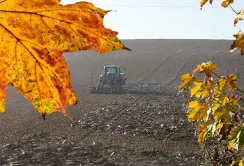 Аграріям потрібно понад 500 мільярдів гривень на посівну: фермери ризикують не засіяти озимі