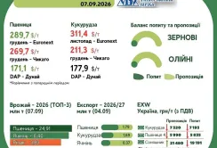 Тренди на ринку зернових та олійних з 1 по 7 вересня