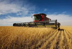 Агросектор продовжує забезпечувати виробництво та експорт продукції, – Тарас Висоцький