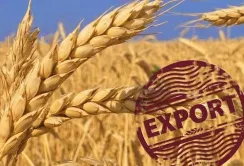 Експортери агропродукції отримають відстрочку за контрактами