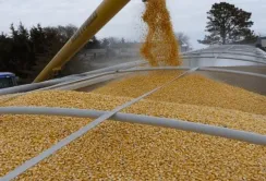 Україна з початку вересня експортувала 1,6 млн тонн агропродукції
