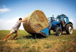 Чи врахують пропозиції аграріїв у новому Цивільному кодексі