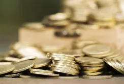 Фінансування для аграріїв: де знайти кошти на розвиток господарства