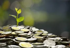 ЄБРР розгляне підтримку українського агроекспорту