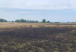 Нові види втрат від війни в міжнародному Реєстрі збитків